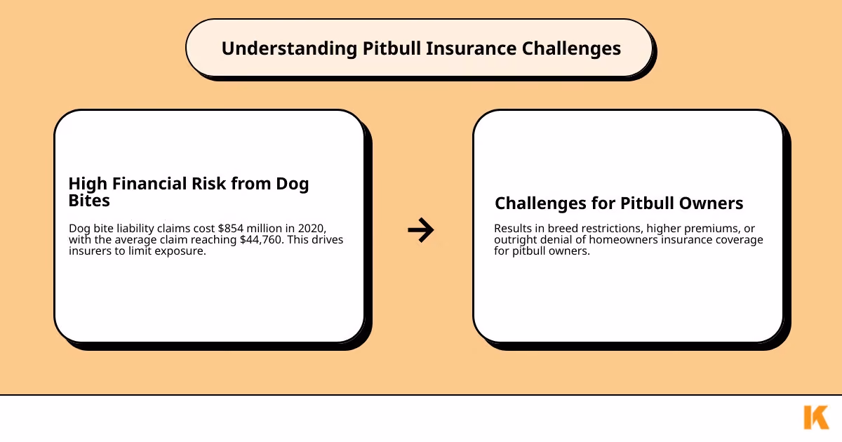 Infographic showing the main challenges of pitbull insurance including breed restriction lists, higher premium rates, and coverage denials, alongside solutions such as dog-friendly insurance companies, professional training certificates, and umbrella liability policies - house insurance with pitbull infographic cause_effect_text