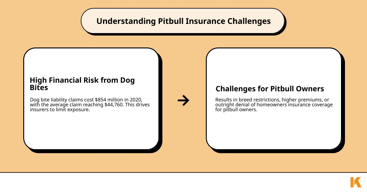 Infographic showing the main challenges of pitbull insurance including breed restriction lists, higher premium rates, and coverage denials, alongside solutions such as dog-friendly insurance companies, professional training certificates, and umbrella liability policies - house insurance with pitbull infographic cause_effect_text Infographic showing the main challenges of pitbull insurance including breed restriction lists, higher premium rates, and coverage denials, alongside solutions such as dog-friendly insurance companies, professional training certificates, and umbrella liability policies - house insurance with pitbull infographic cause_effect_text