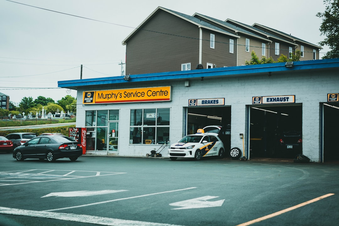 car rental business - car hire business insurance
