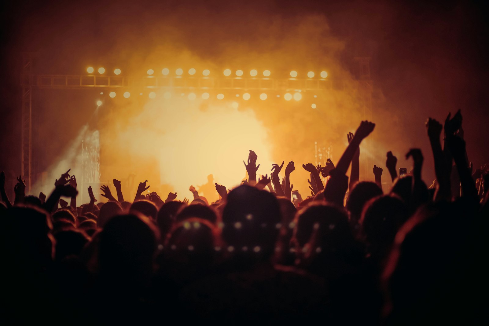 Festival crowd facing a lit stage