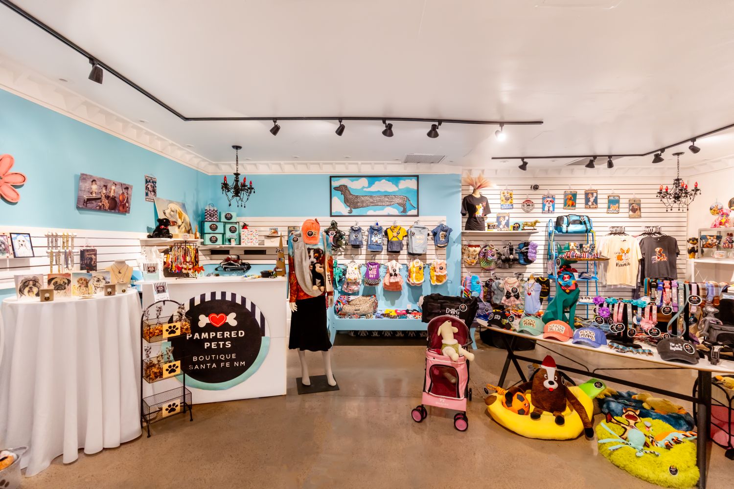 Pampered Pets shop with pet clothing, toys and more on display