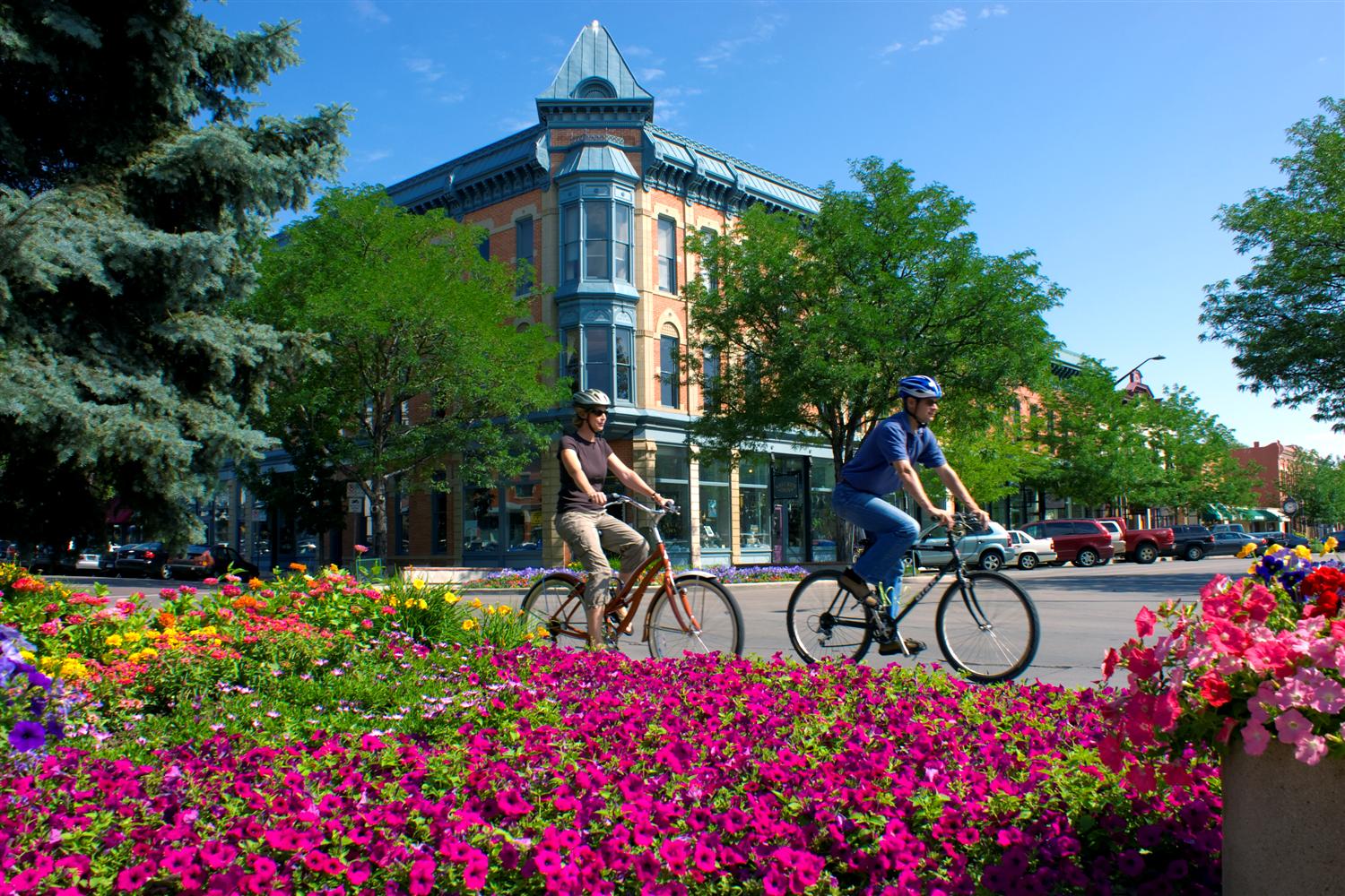 The Local Business Owner's Guide to Fort Collins: Resources, Community, and Where to Get Stuff Done