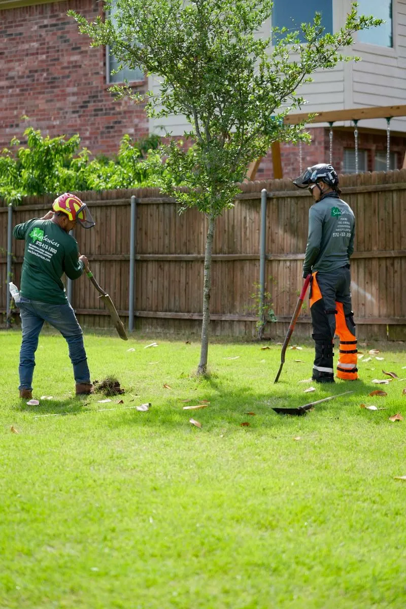 tree removal services colleyville tx