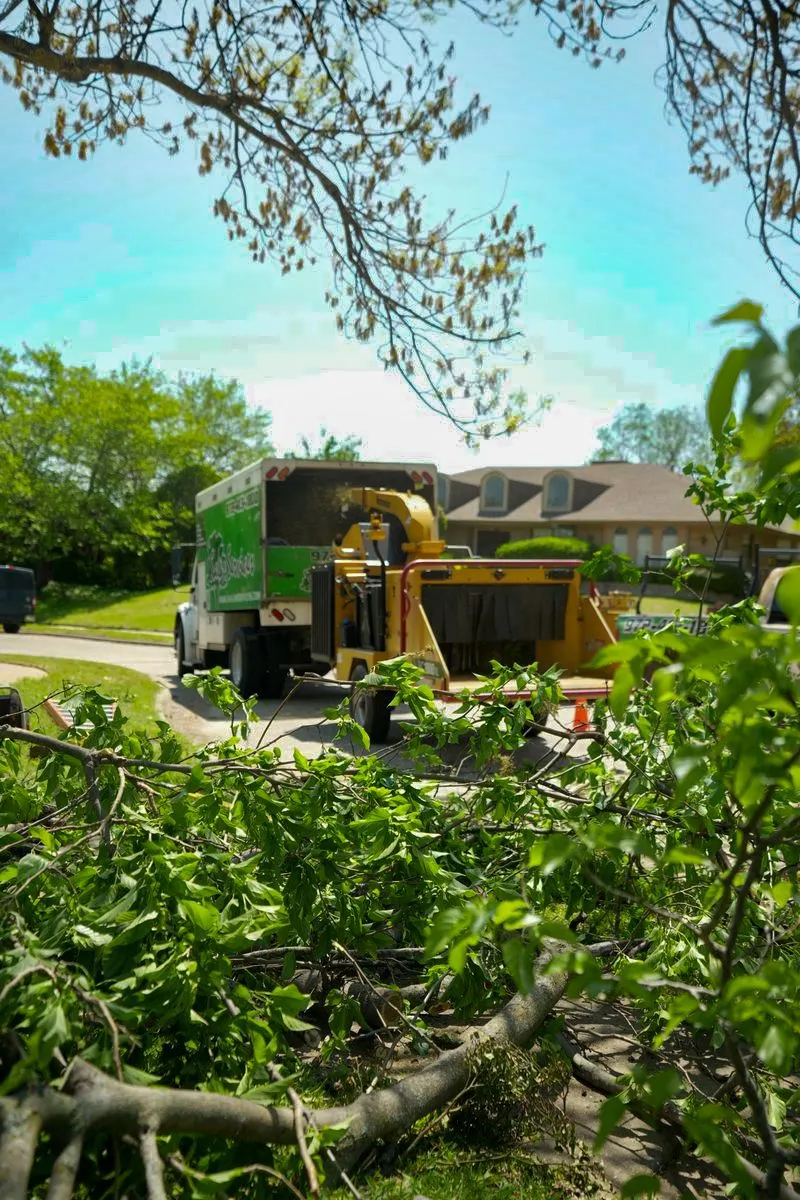tree pruning services colleyville tx