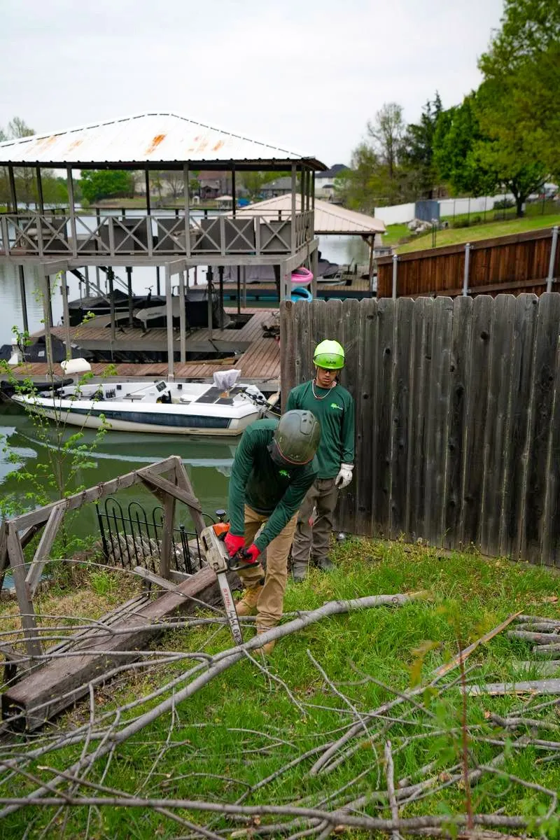 storm damage tree removal near me
