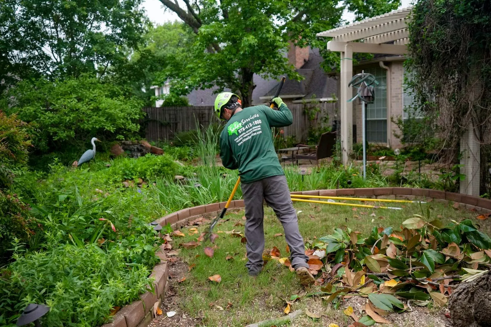 best tree trimming service dfw
