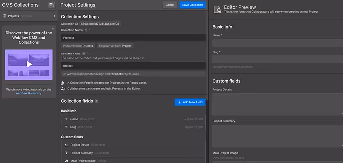 Webflow CMS collections screenshot