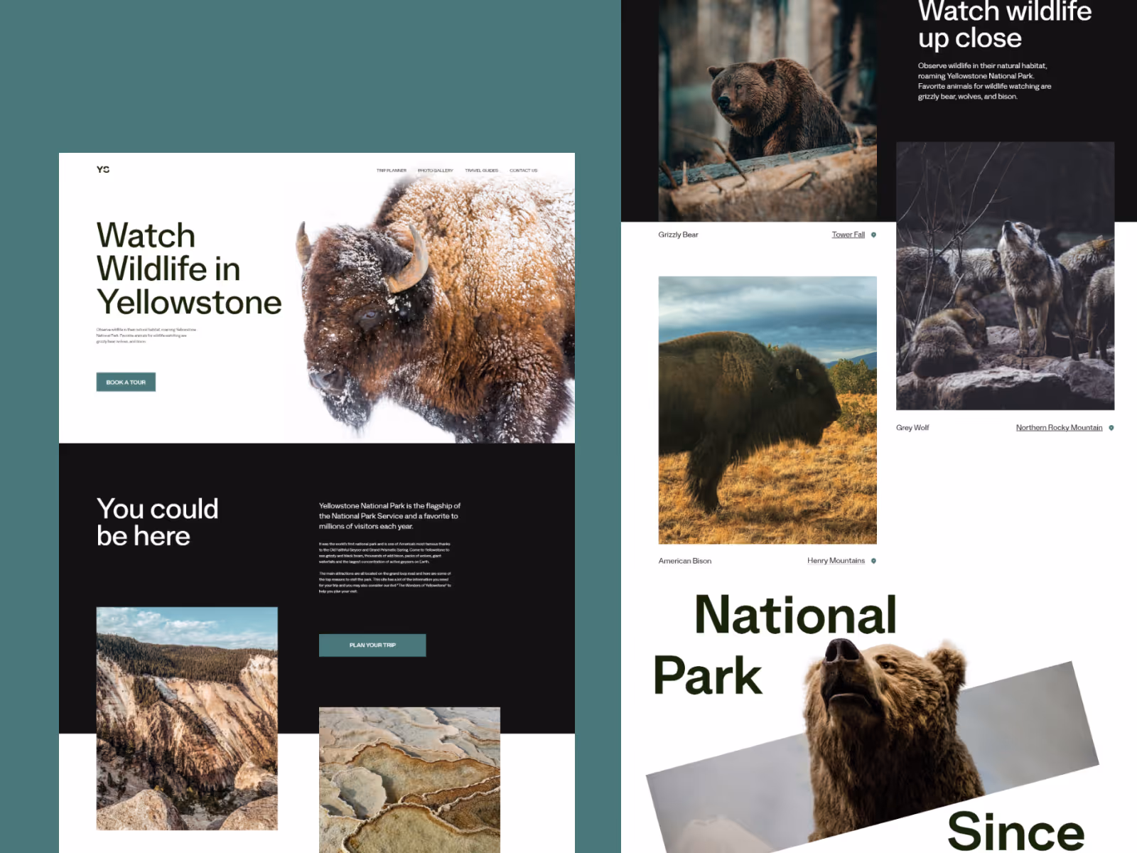 Yellowstone national par website redesign