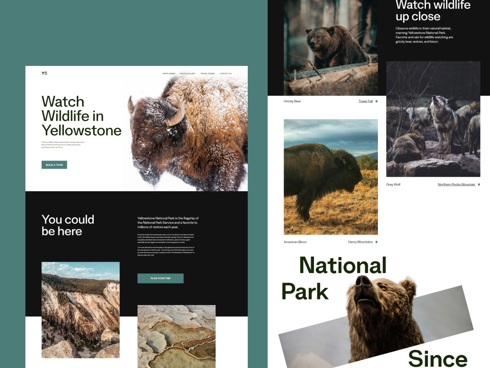 Yellowstone national par website redesign