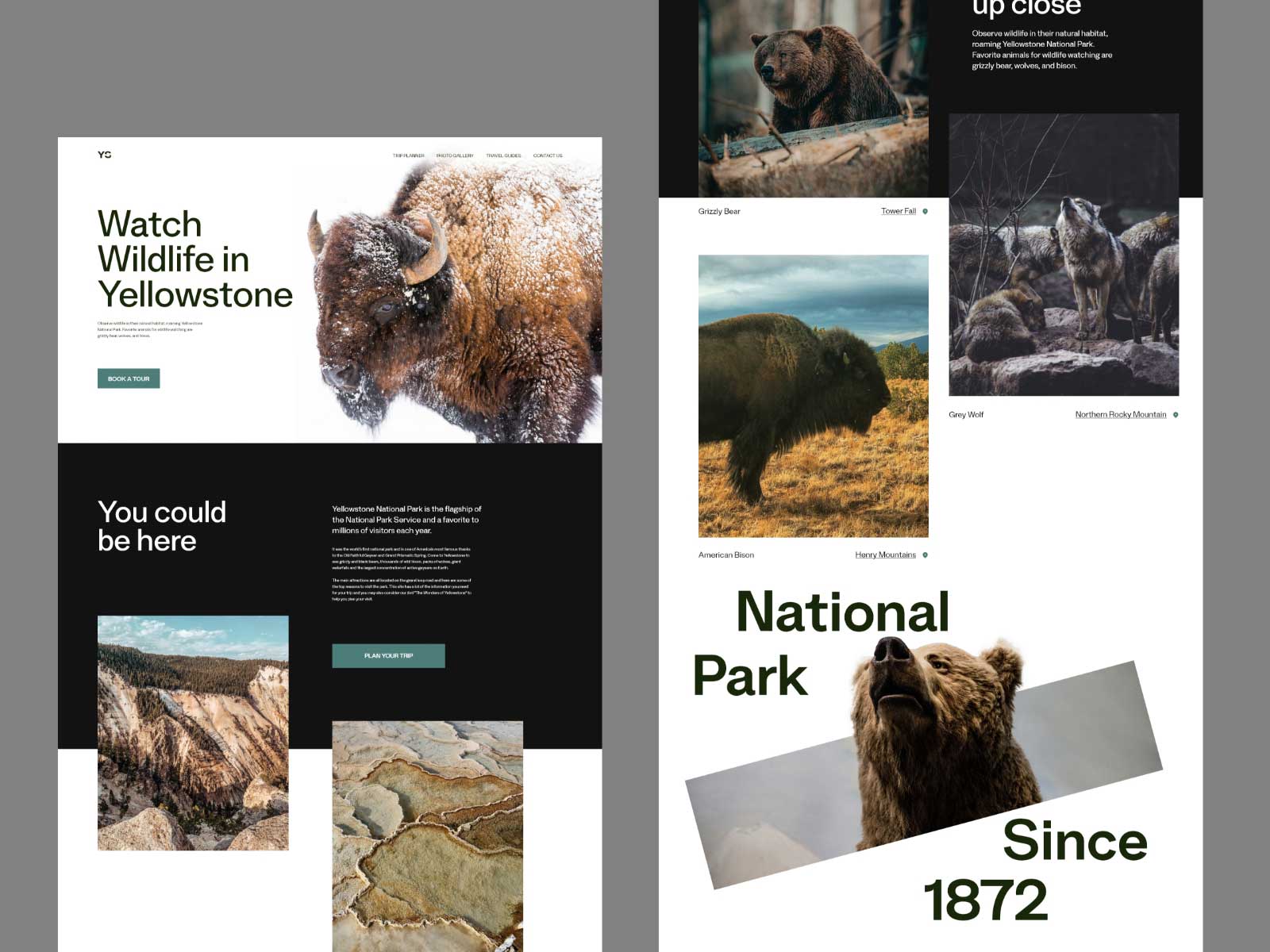 Wildlife homepage design by Broworks