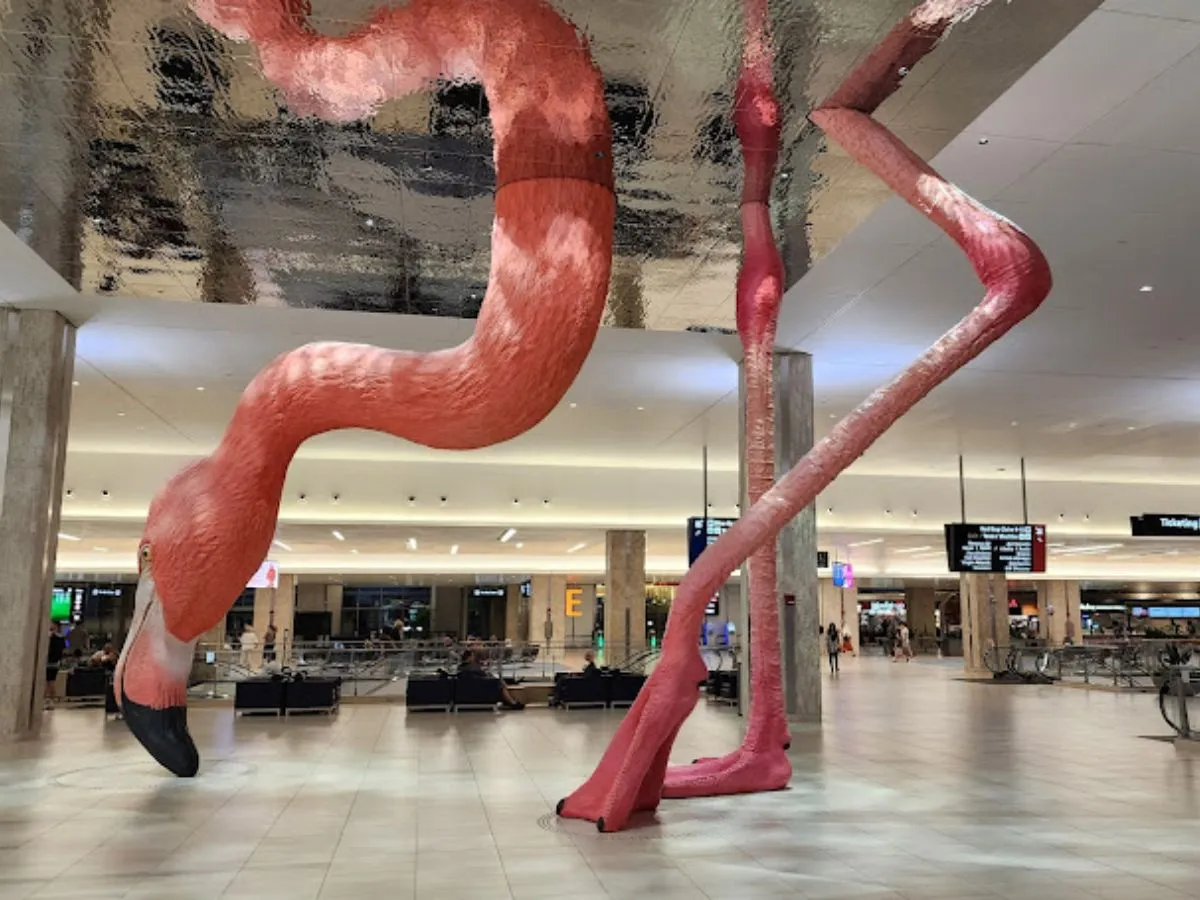 Tampa International Airport by Private Jet