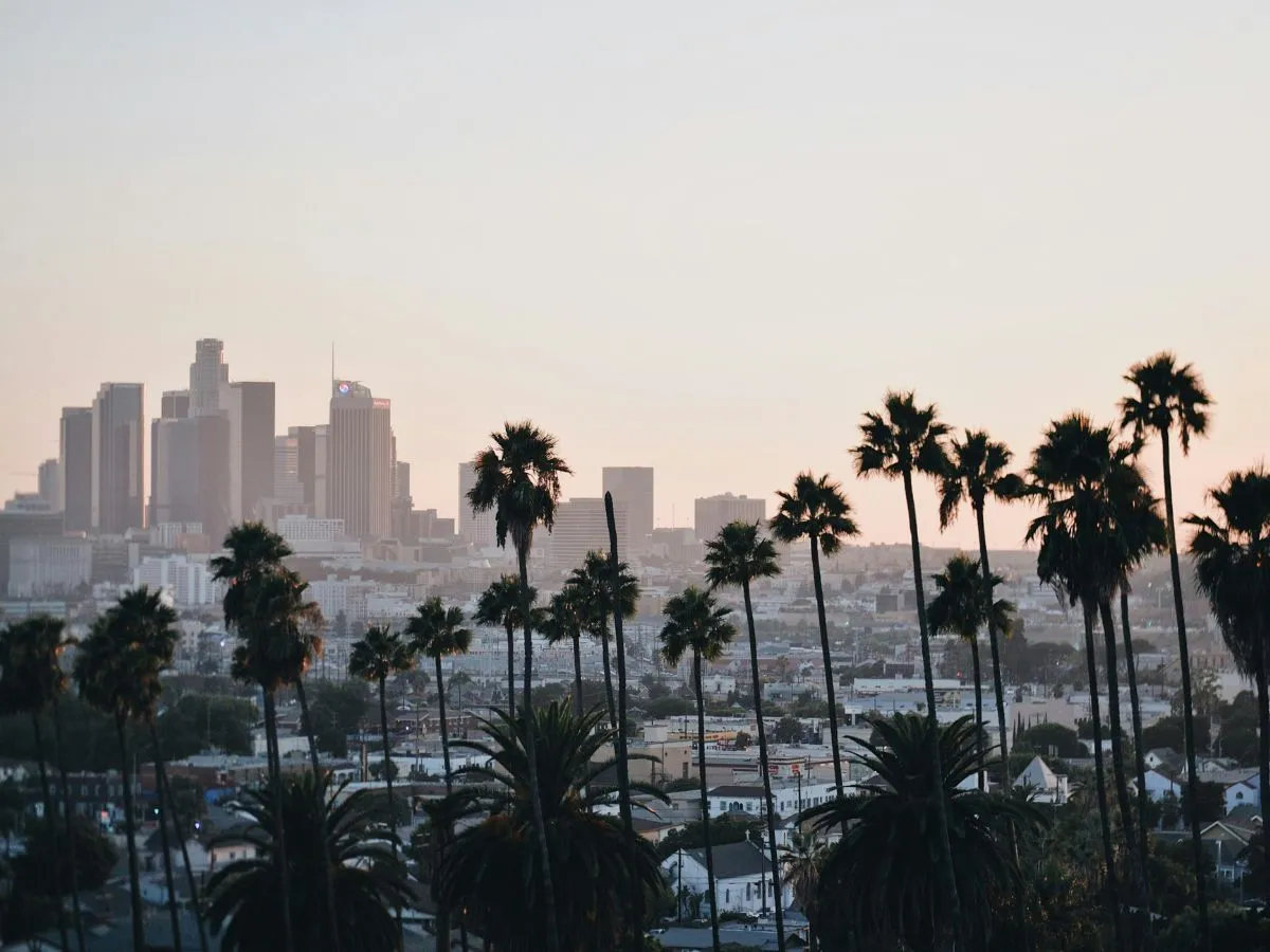 Private Jet from Houston to Los Angeles