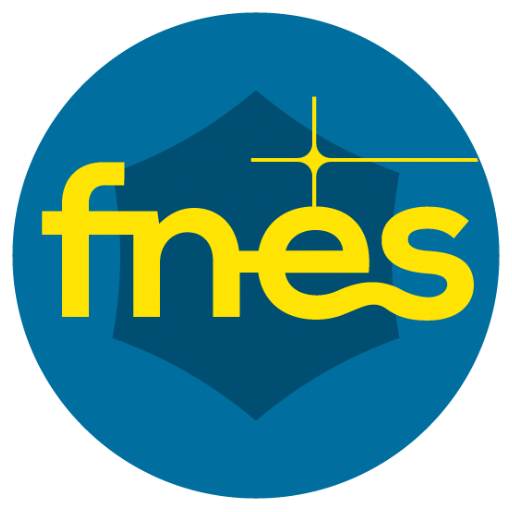 Logo officiel FNES