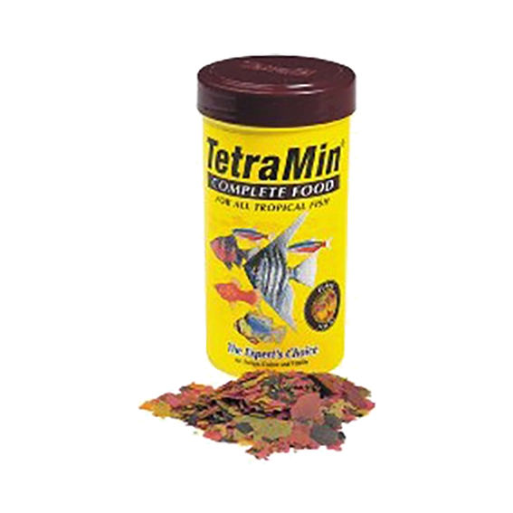 The Kennel Shop Pet Store Tetra Fish Food Varieties