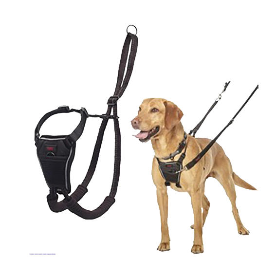 The Kennel Shop Pet Store CoA Halti No Pull Harness Variety