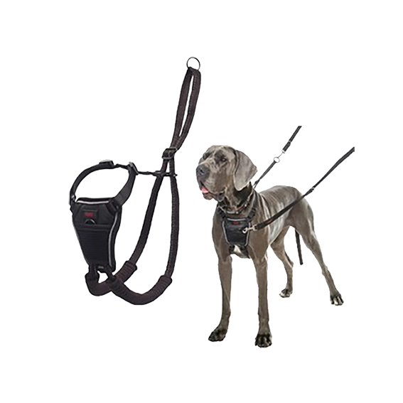 The Kennel Shop Pet Store CoA Halti No Pull Harness Variety