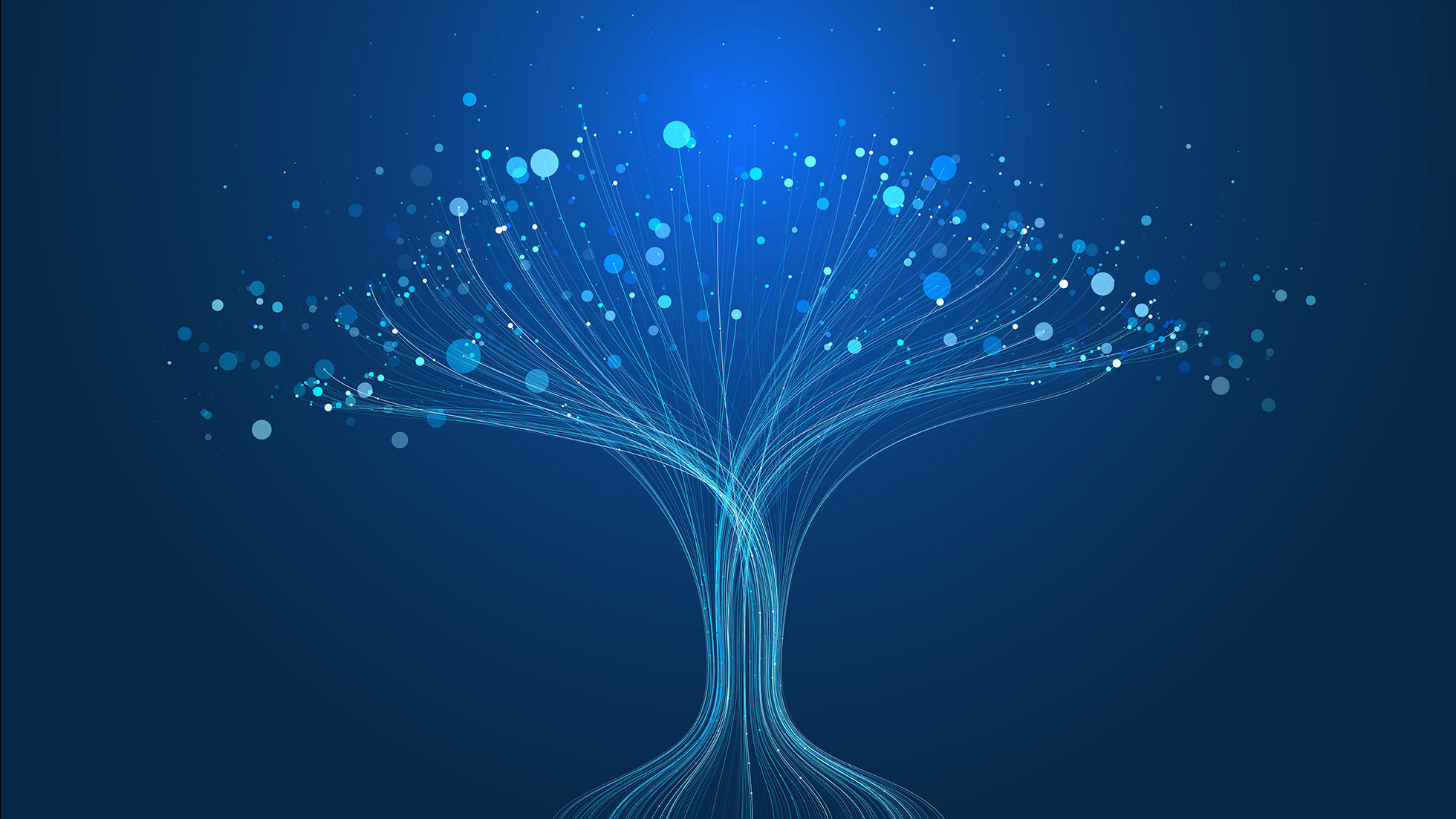 An abstract tree on a dark blue background made up of many thin white lines that move from roots to trunk to branches, ending in small white circles.