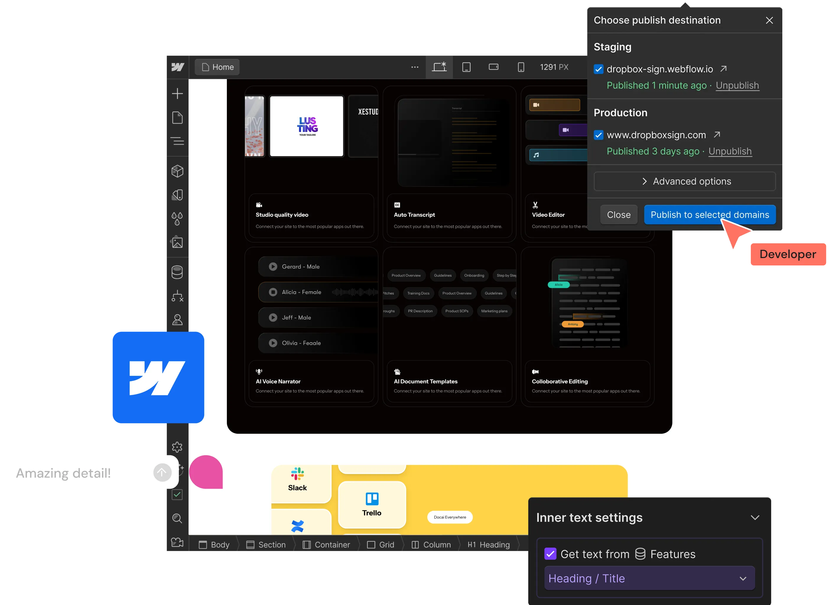 webflow development and launch