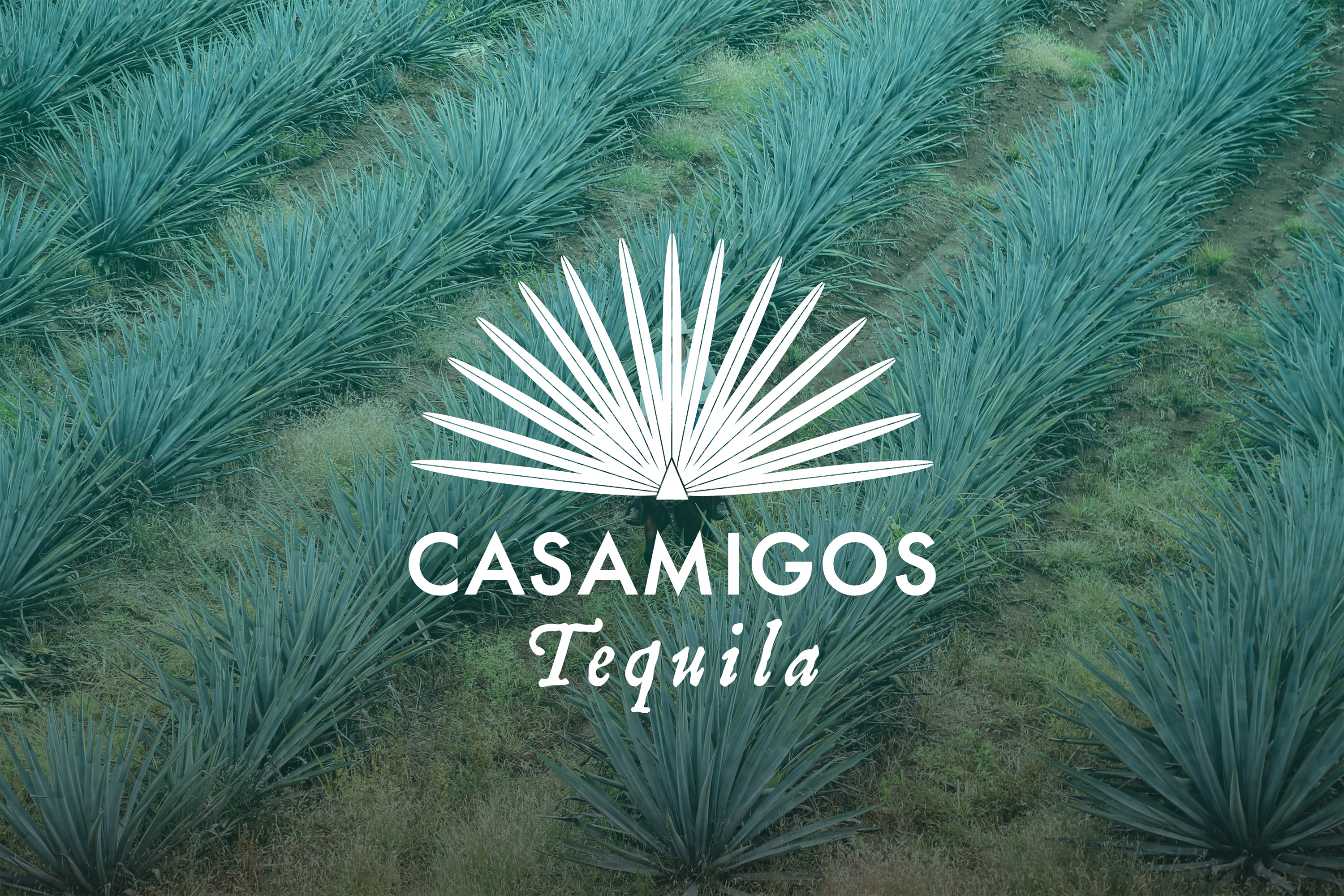 Casamigos Redesign Project