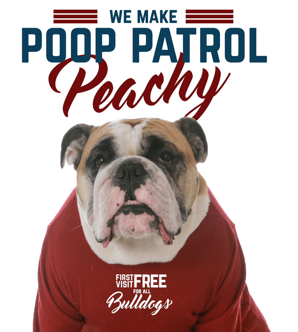 Pooper Scooper Service in Hilliard, OH