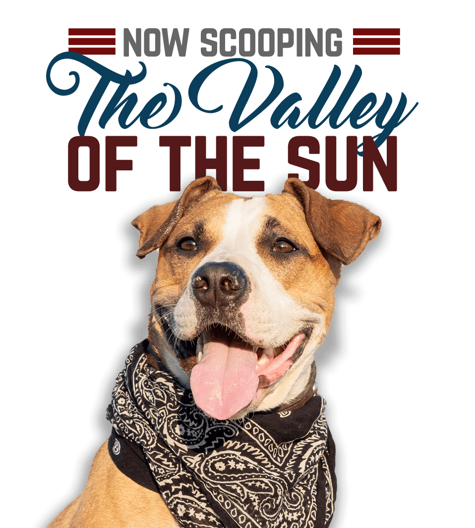 Pet Waste Removal in Gilbert, AZ Scoop Soldiers