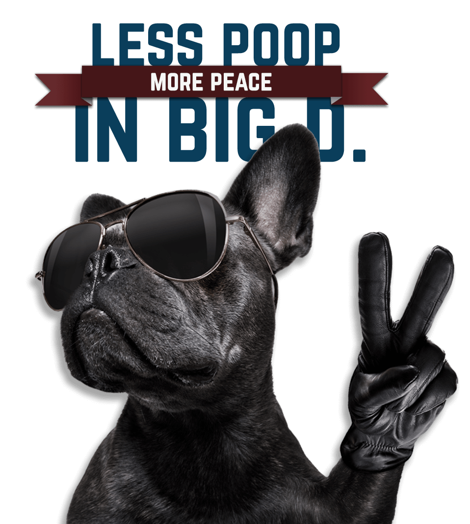 Pooper Scooper Services in Frisco, TX Scoop Soldiers