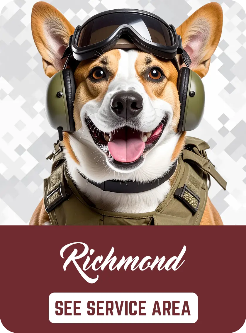 Image to See Service Area for Richmond VA