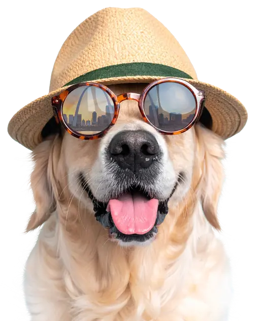 Pooper Scooper Service in Imperial,MO