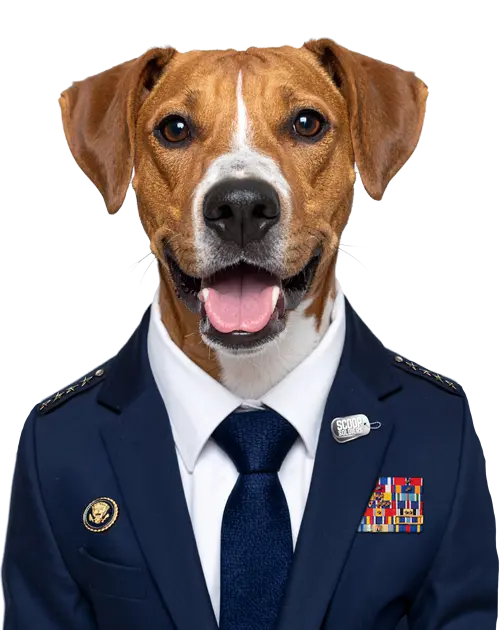 Pooper Scooper Service in Columbus, OH 