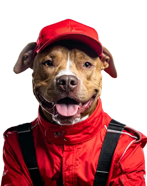 Pooper Scooper Service in Fishers, IN