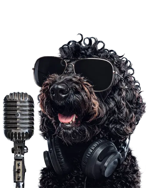 Pooper Scooper Service in Warren, MI