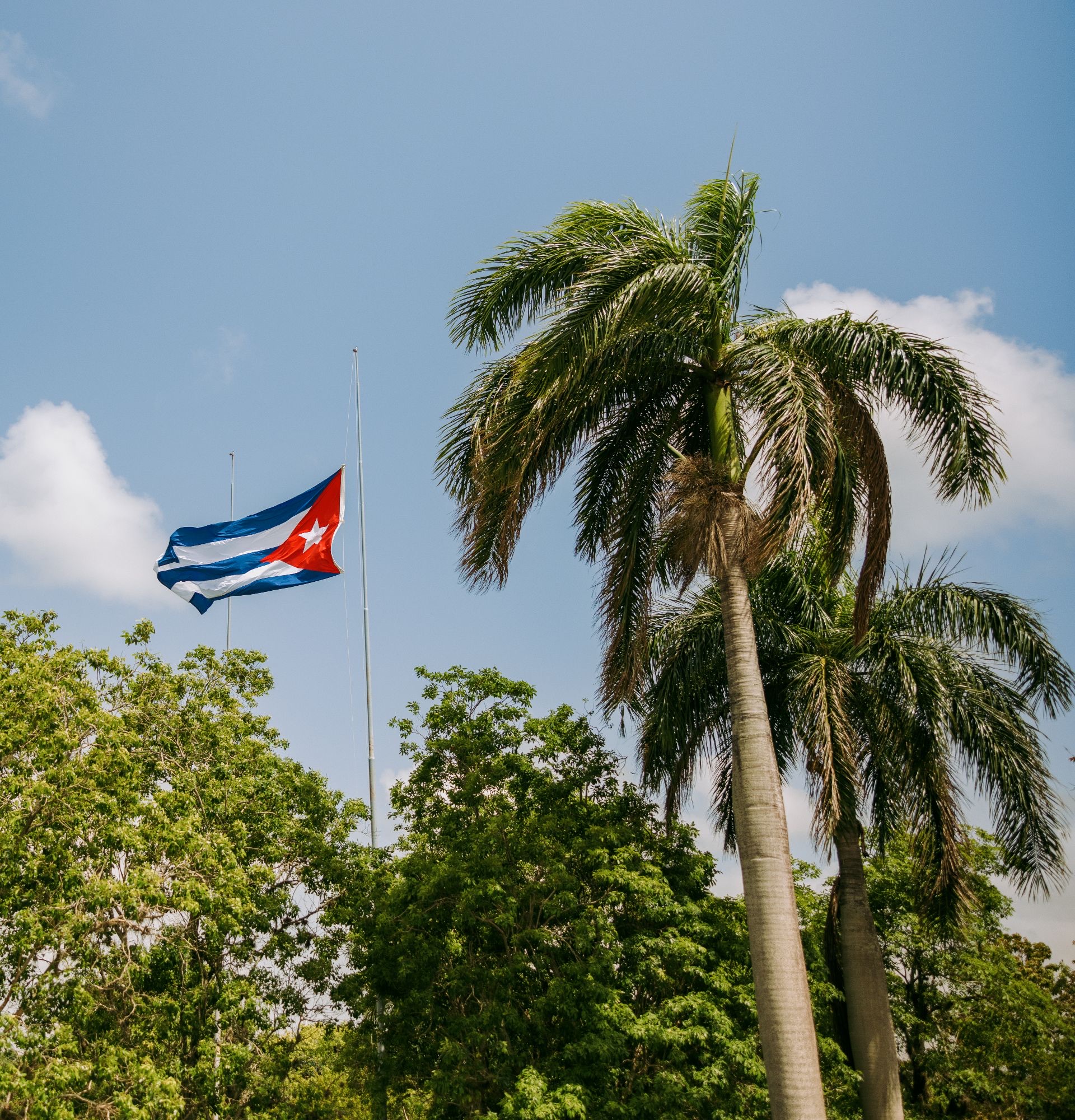 Cuban flag and palm trees