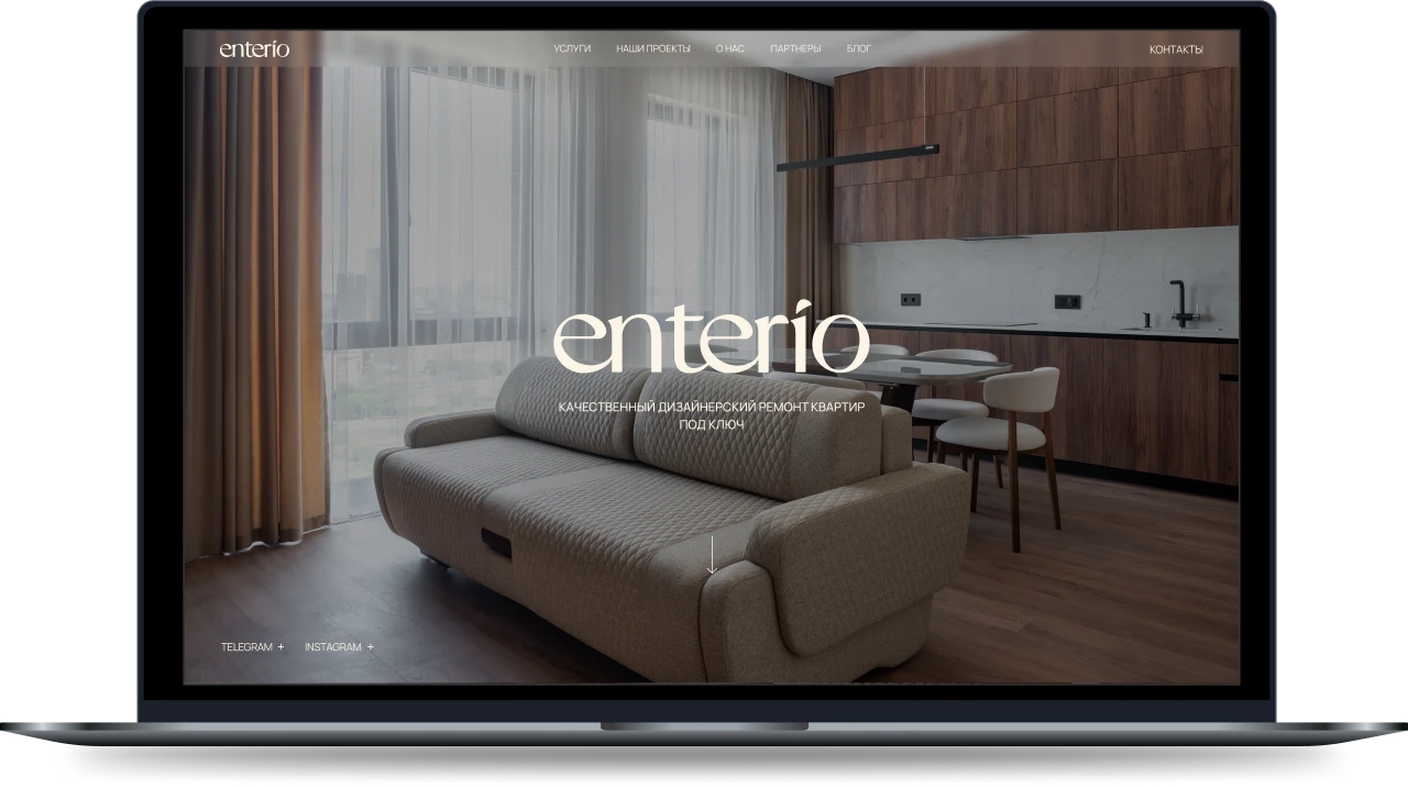 Enterio Website Preview