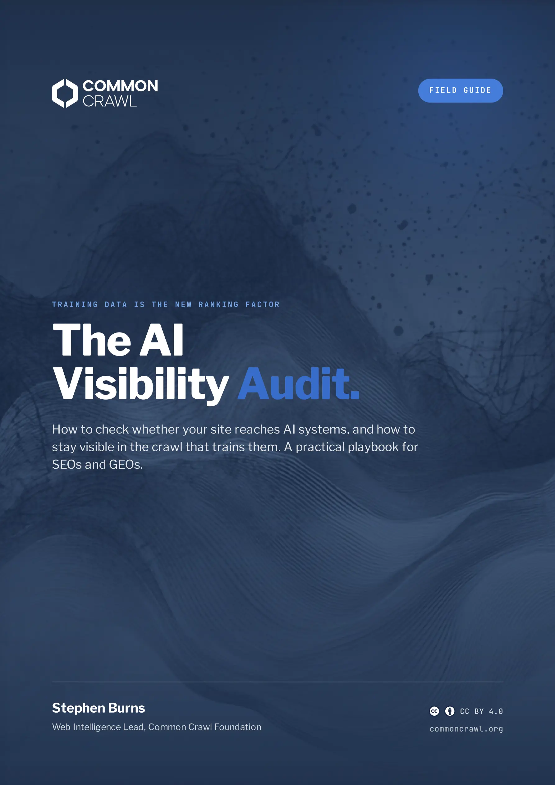 The cover of The AI Visibility Audit