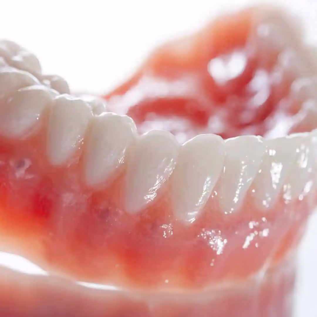 A set of clean lower dentures