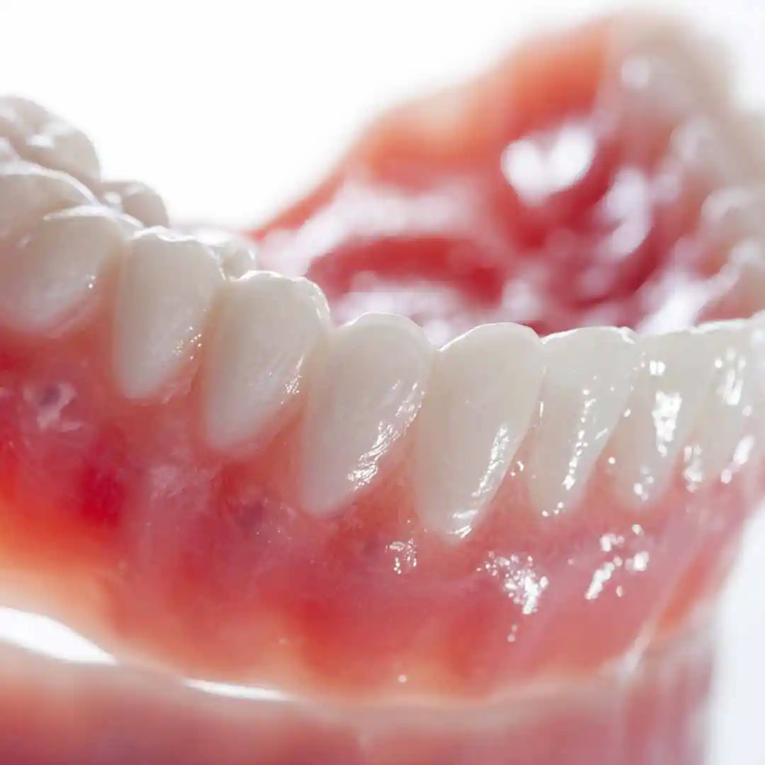 A set of clean lower dentures