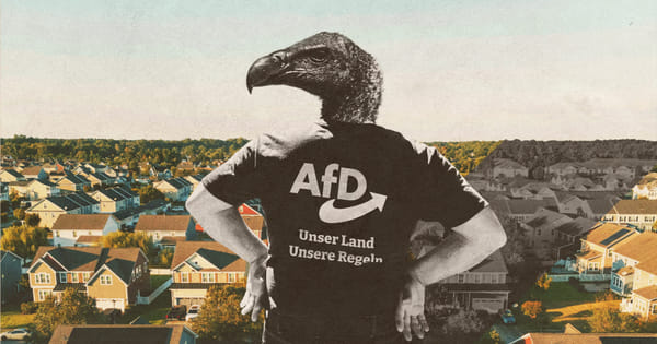 Warum wählen Menschen die AfD, obwohl sie ihnen schadet?