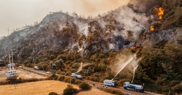 Waldbrände, verständlich erklärt
