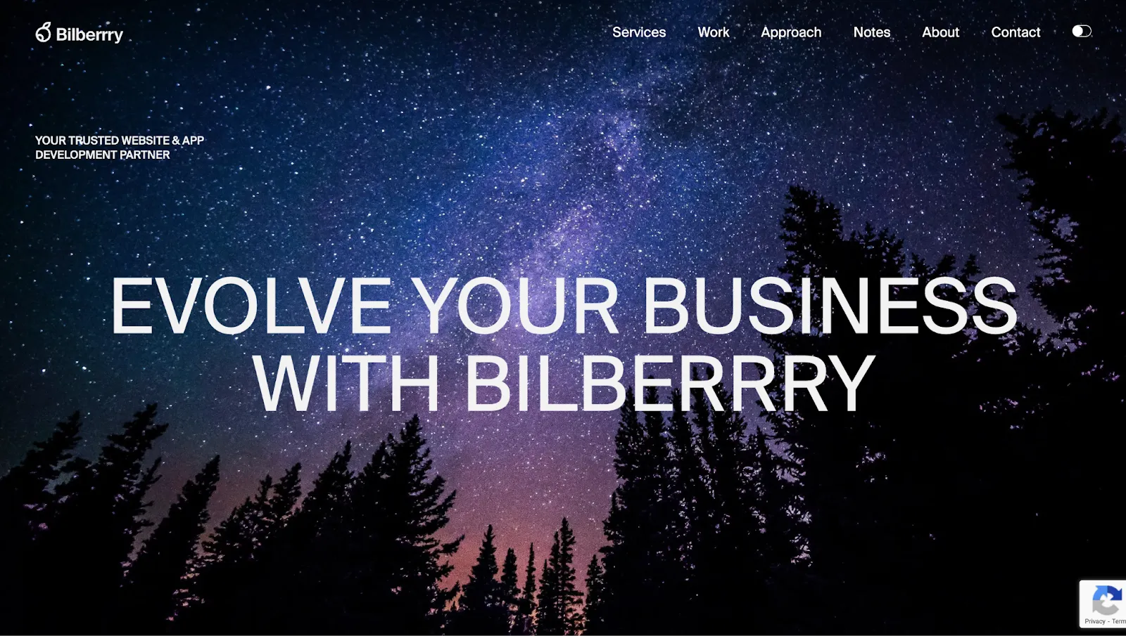 Bilberrry