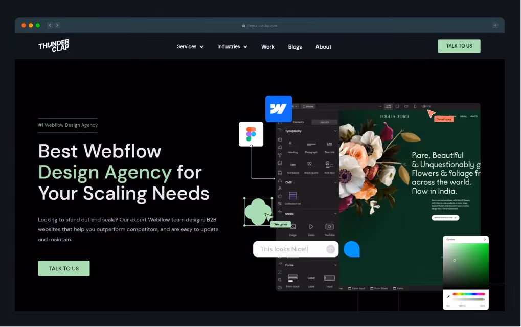 ThunderClap - 2B Web Design Agency