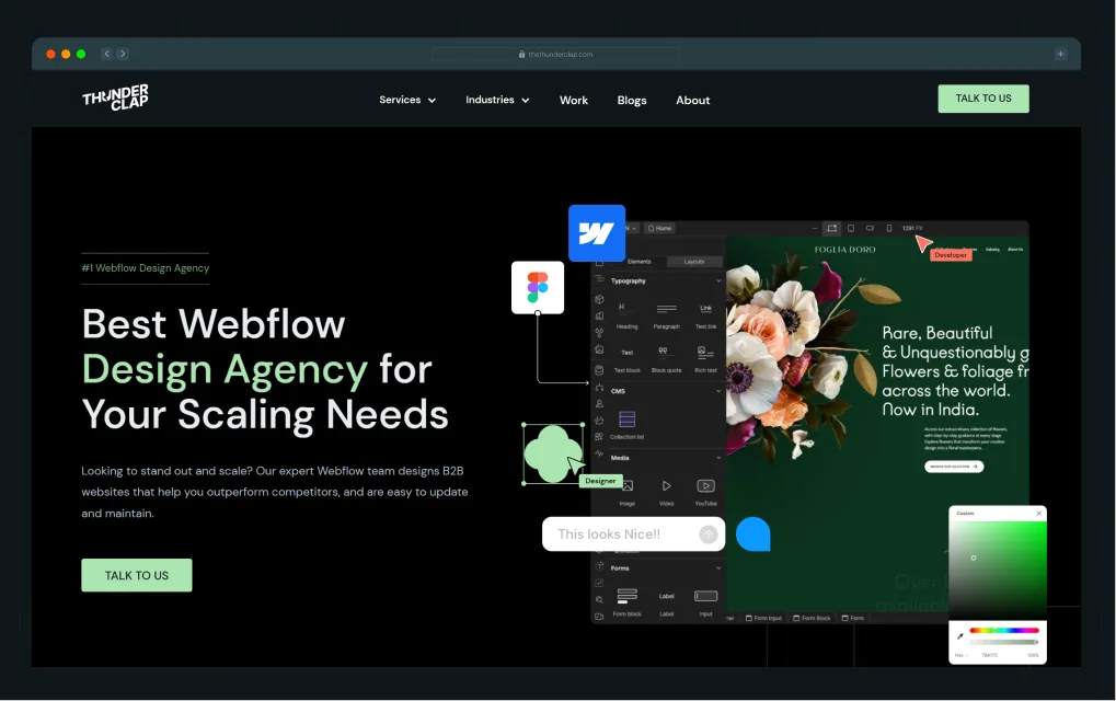 ThunderClap - 2B Web Design Agency