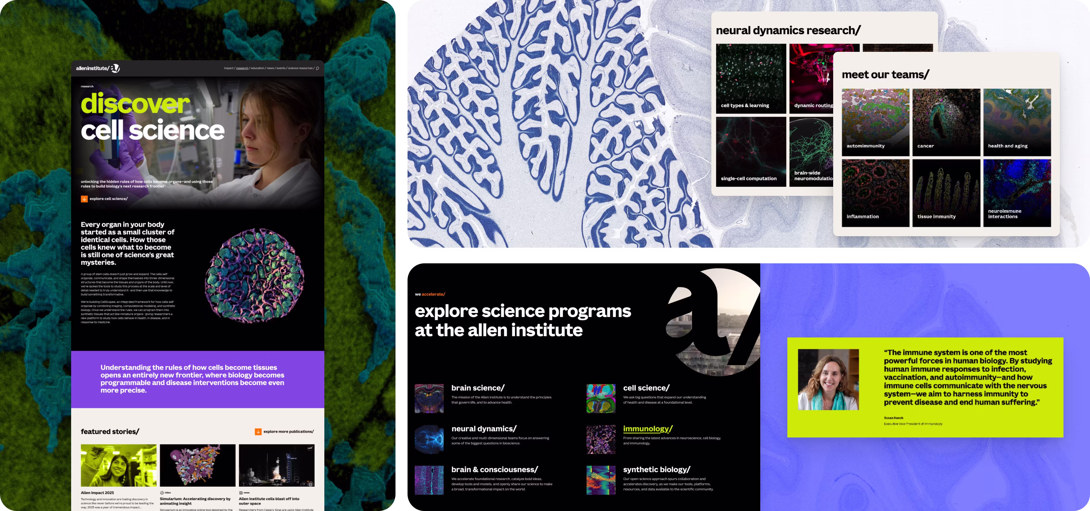Four mobile website designs highlighting the range of visuals from the allninstitute.org website redesign.