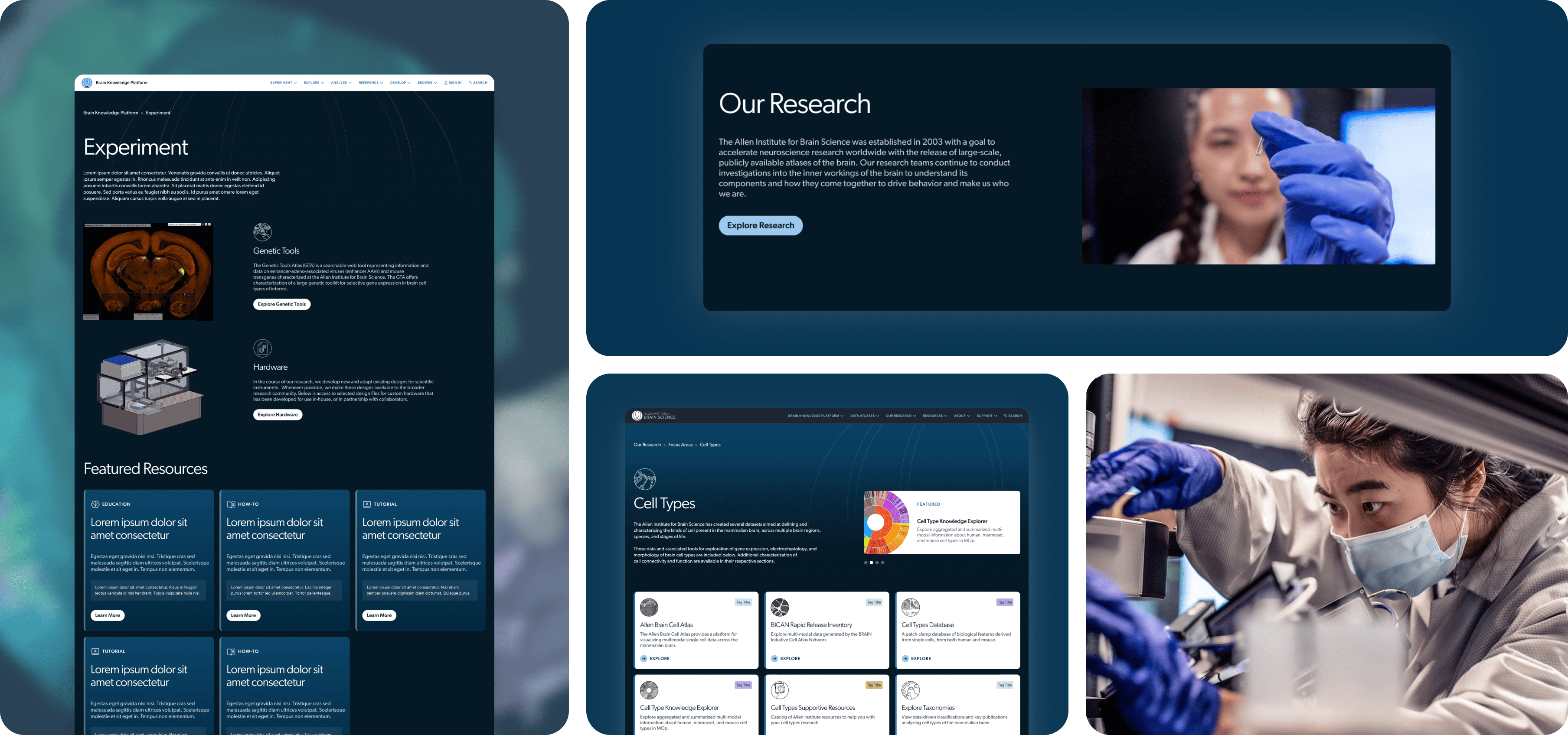 A collection of web pages from brain-map.org, including the Experience landing page within the BKP, a website component highlighting the Institute's research, and the Cell Types landing page with cards of different cell types users can explore.