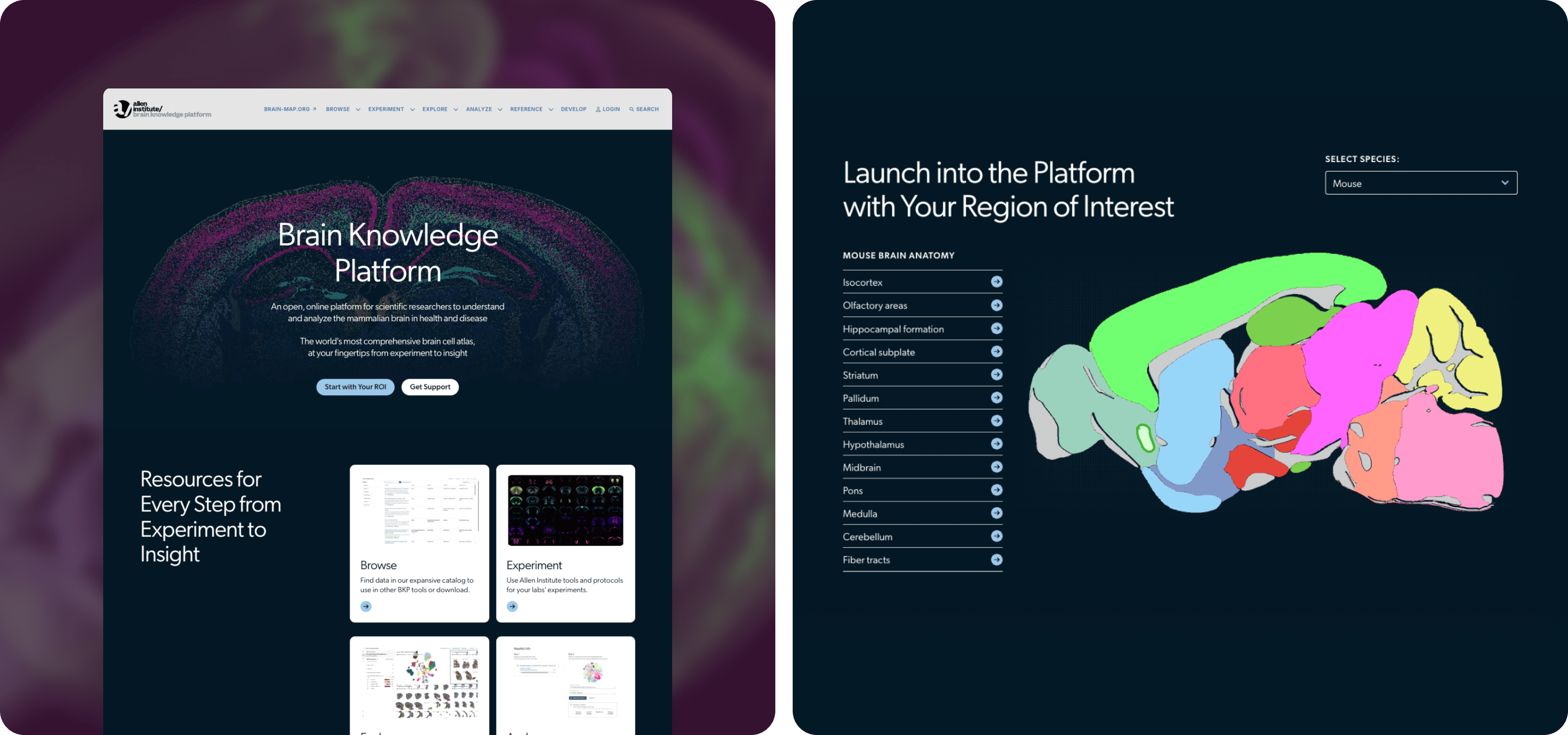 The home page for Allen Institute's brain knowledge platform, and a stylized image of the brain helping scientists navigate available brain research.