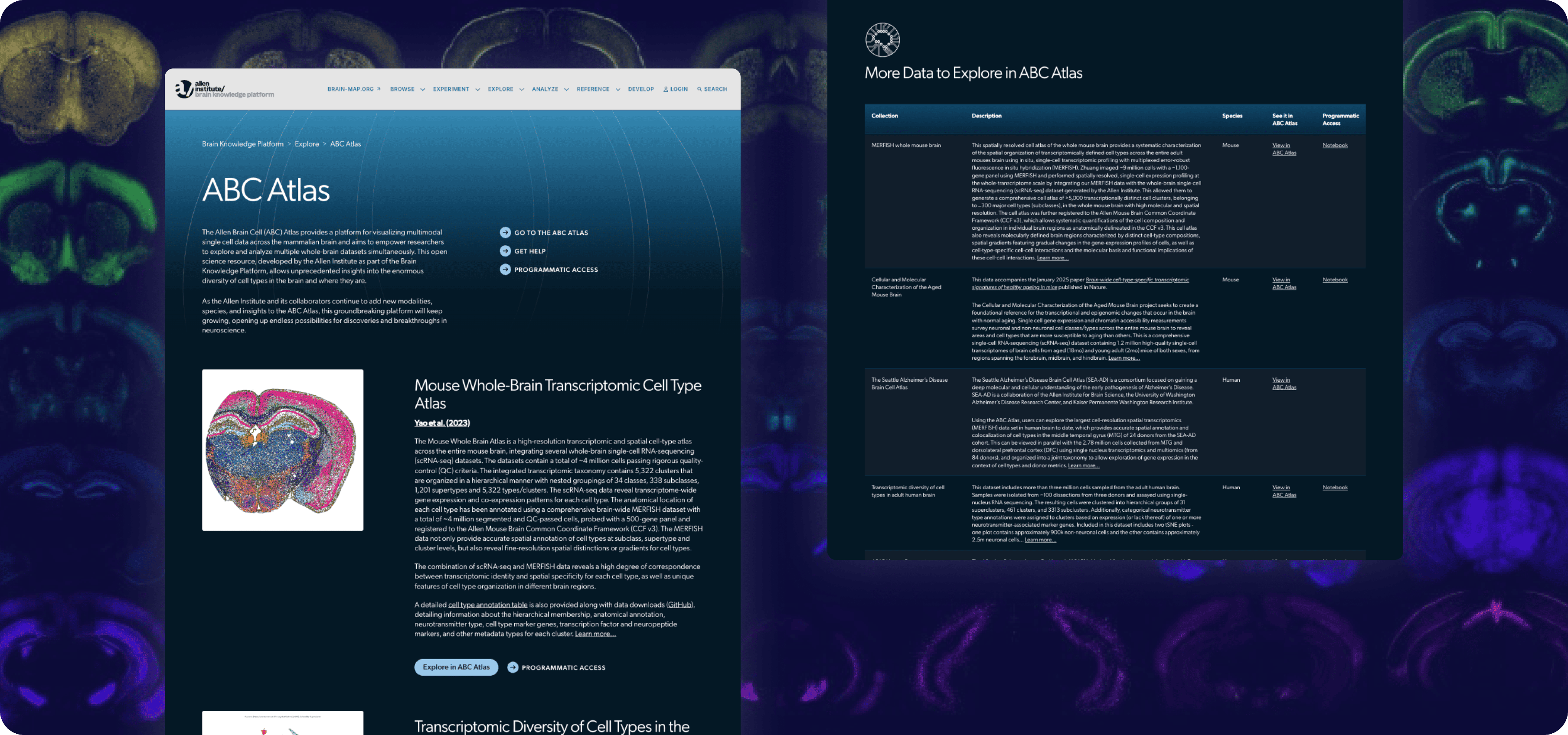 Two web pages, side by side, highlighting Allen Institute for Brain Science's ABC Atlas research and additional related data.