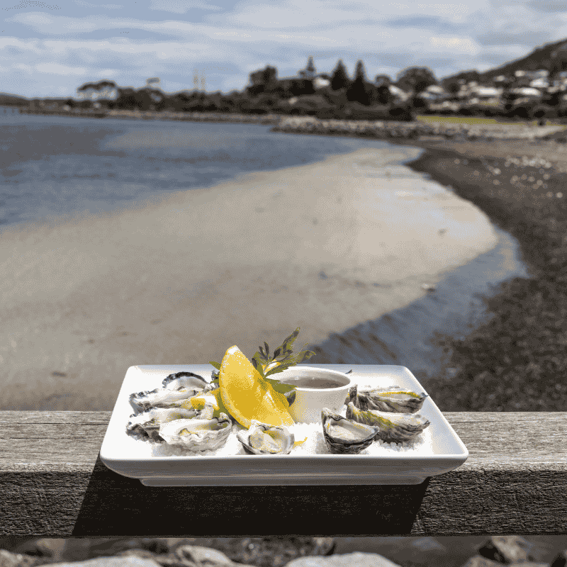 Experience the Albany Oyster Trail this Taste Great Southern