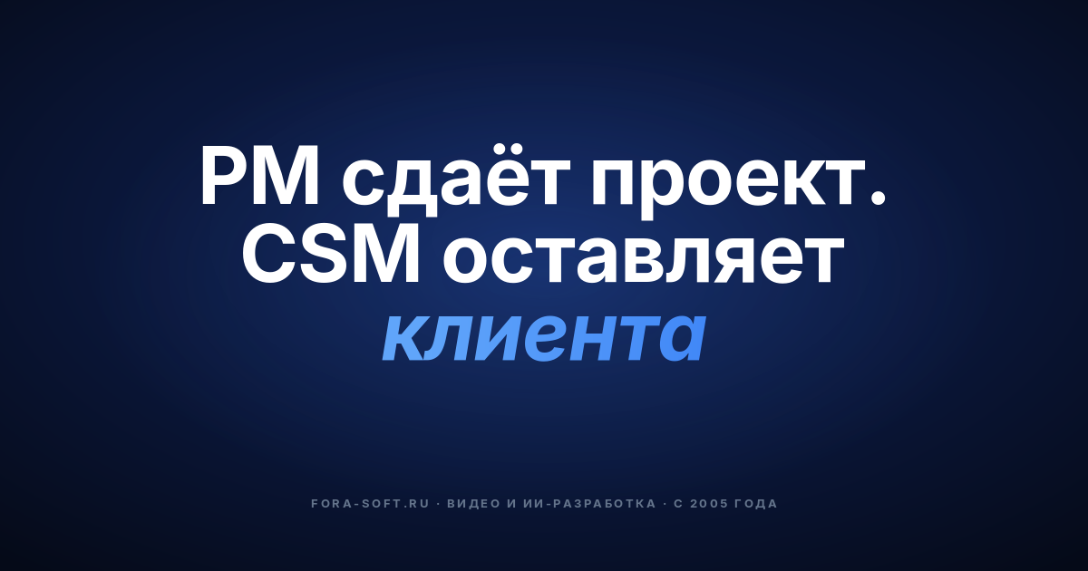 Customer Success Manager в разработке ПО на заказ: плейбук 2026 — обложка
