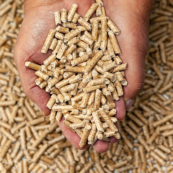 Biomasse - bois (bûches), pellets et copeaux de bois déchiquetés