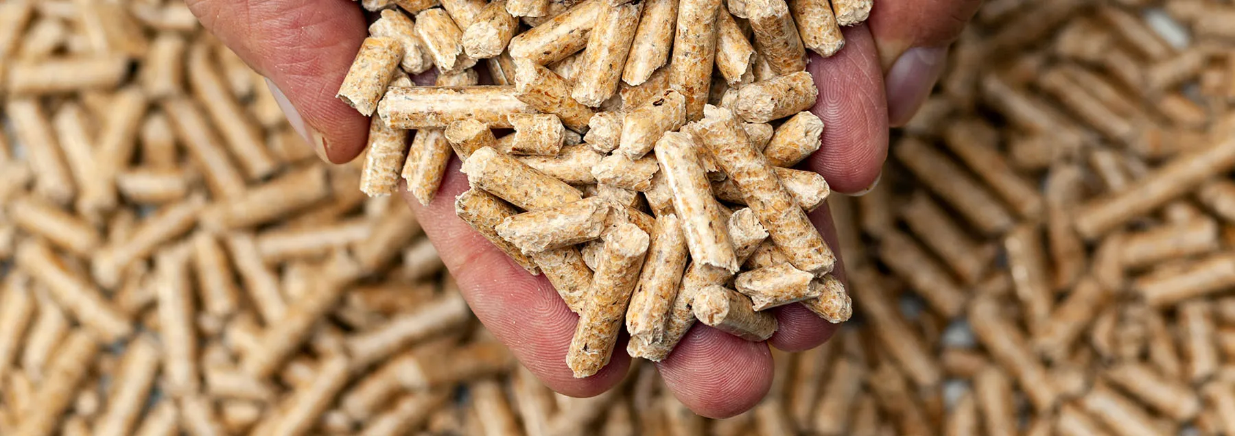 Biomasse - bois (bûches), pellets et copeaux de bois déchiquetés