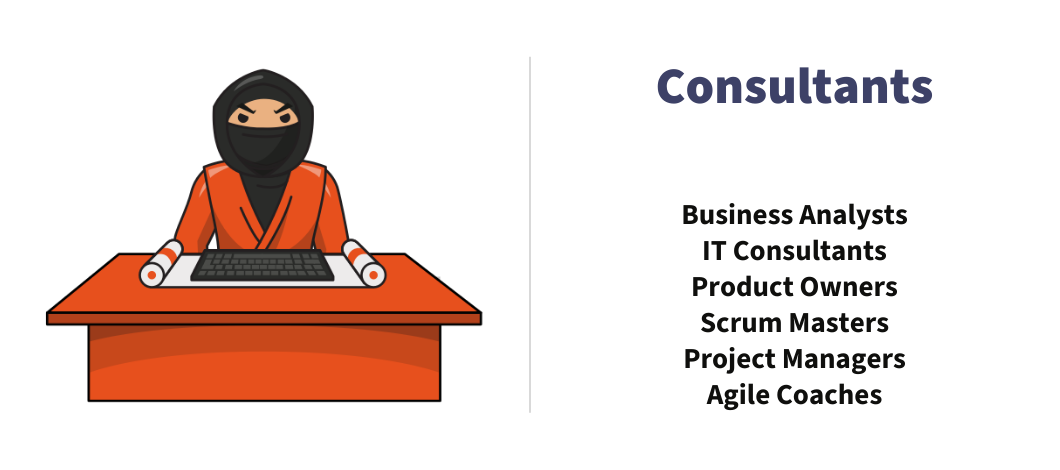 it-blackbelt-consultants